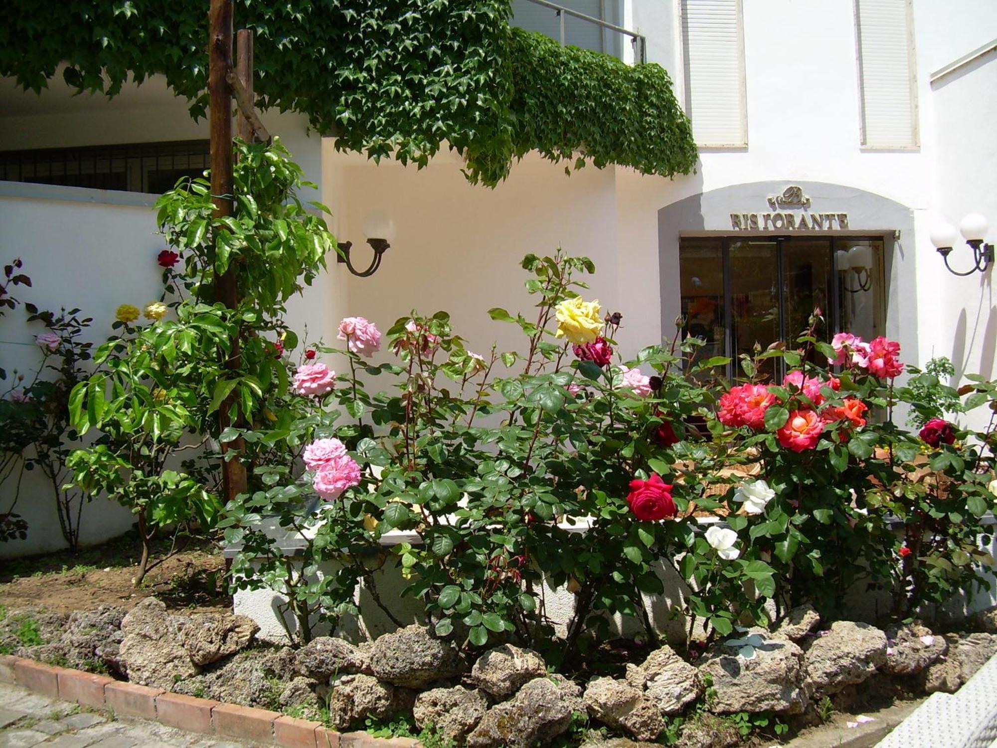 Hotel Baia Palinuro Εξωτερικό φωτογραφία